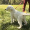 Natasha - Photo 3