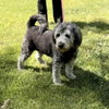 Stella - Photo 4