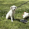 Victor - Photo 2
