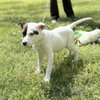Ziti - Photo 3