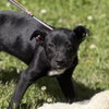 Crunch - Photo 4