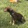 Reese Cup - Photo 3