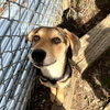 COCO HOPE  LOWER FEE! - Photo 1