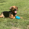 Ace HOPE  LOWER FEE - Photo 1