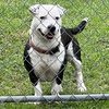 AXEL HOPE LOWER FEE - Photo 1