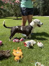 AXEL - Photo 2