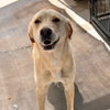 Maggie - Photo 2
