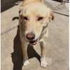 Maggie - Photo 3