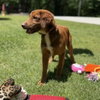Oscar - Photo 2