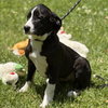 Susie - Photo 3