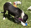 Susie - Photo 4