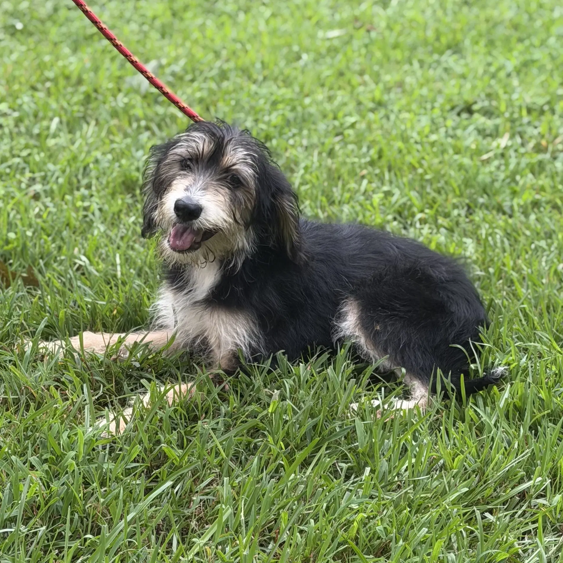 Bella image 4