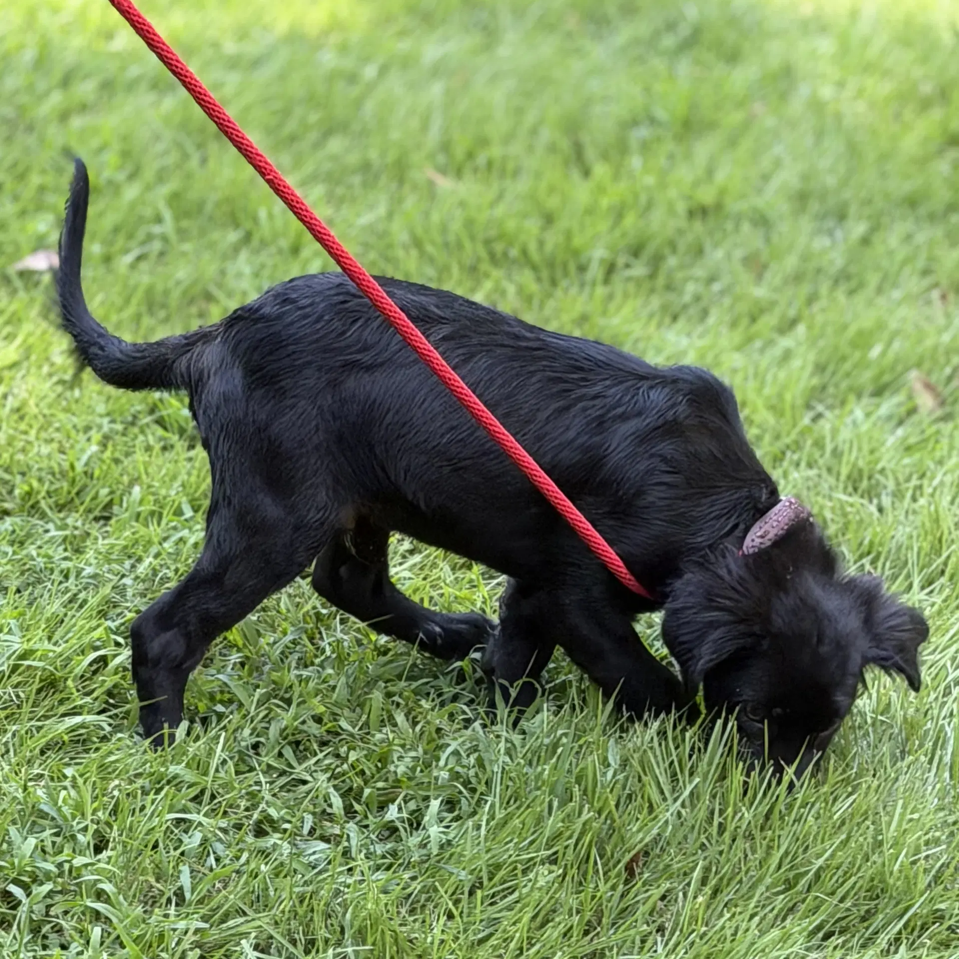 Tucker image 2