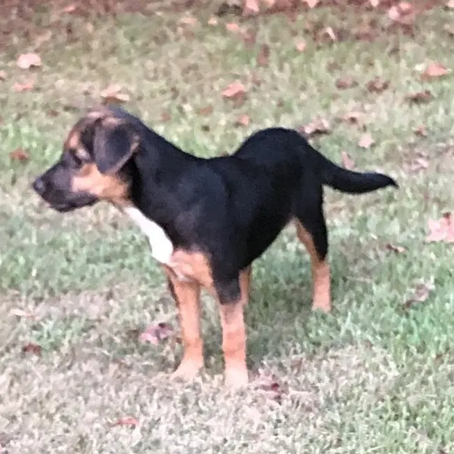 Wilma image 3