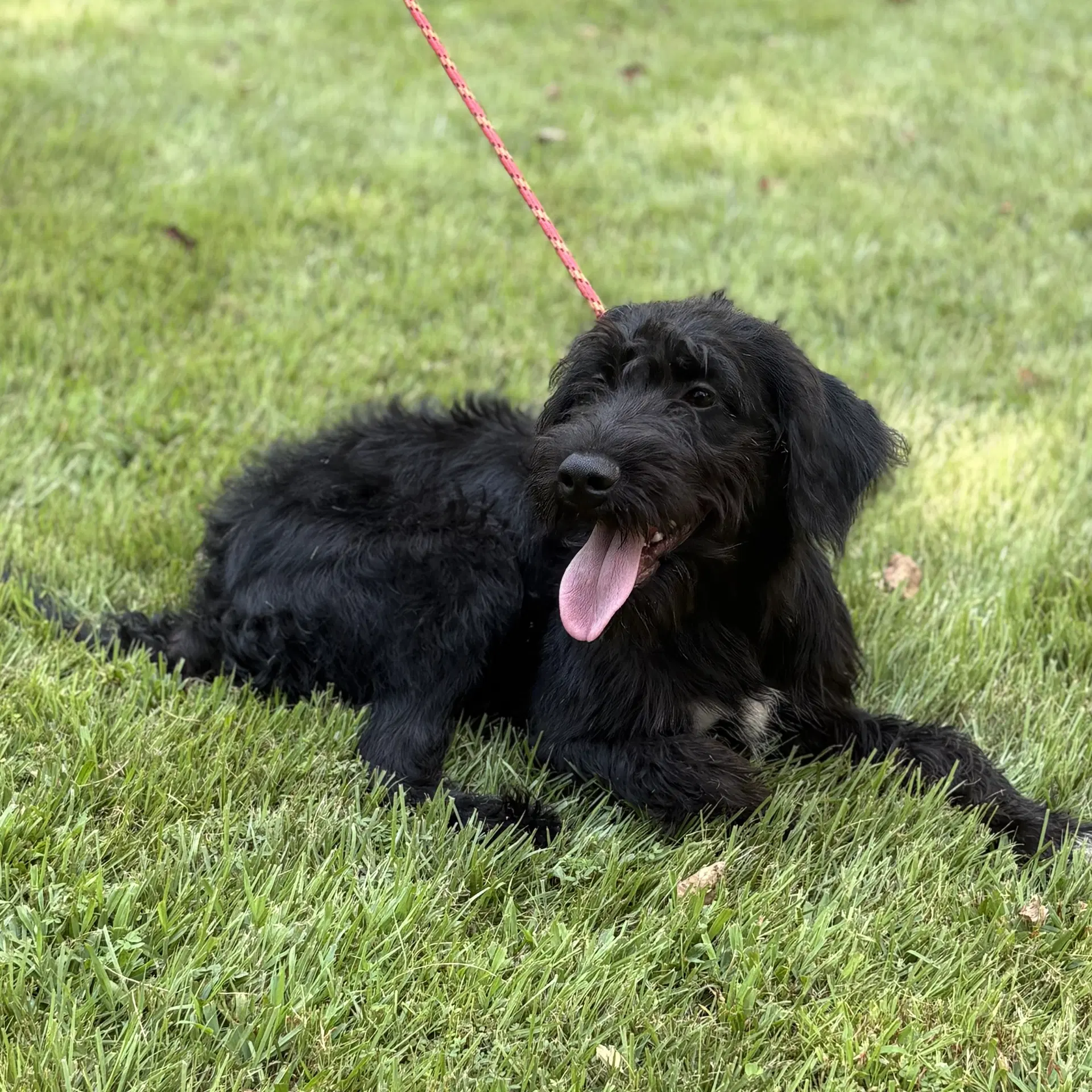 Kit image 3