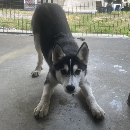 Photo 3 of Jenna