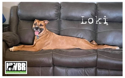 Loki — thumbnail 9