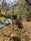 Big Jim - Photo 2