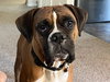 Big Jim - Photo 3