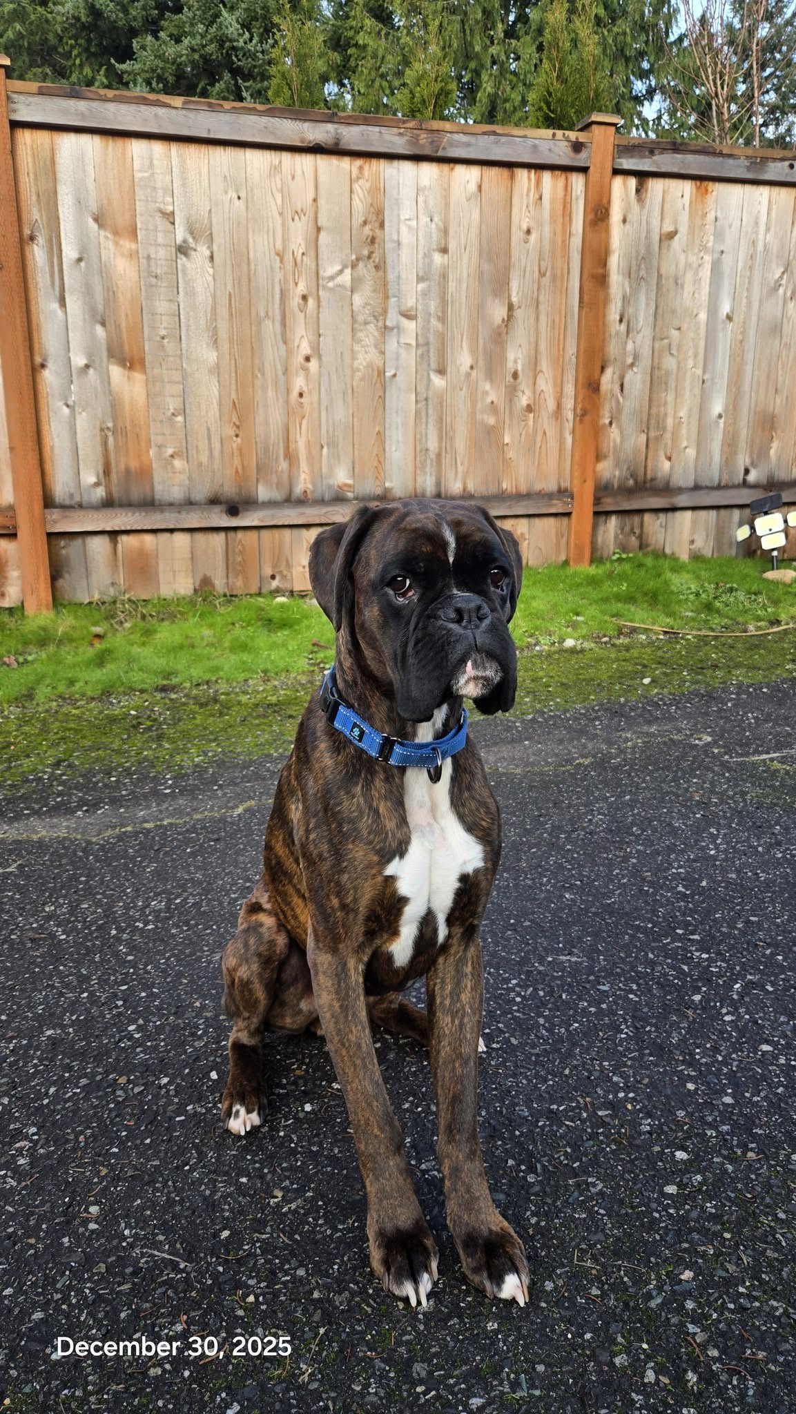 Eddie Image