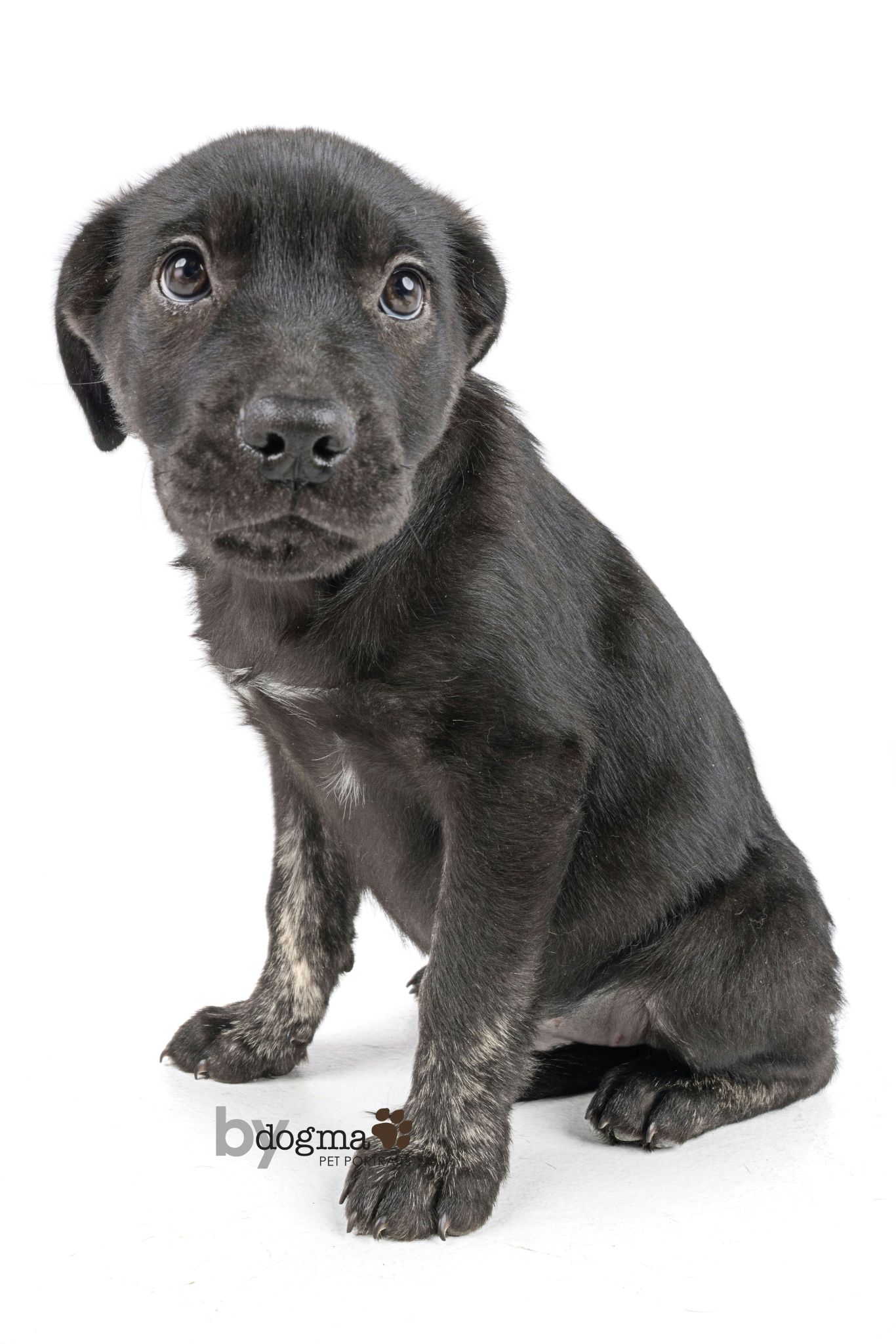 Xena Image
