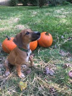 Fiona