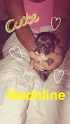 Madeline