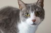 Bartholo Mew