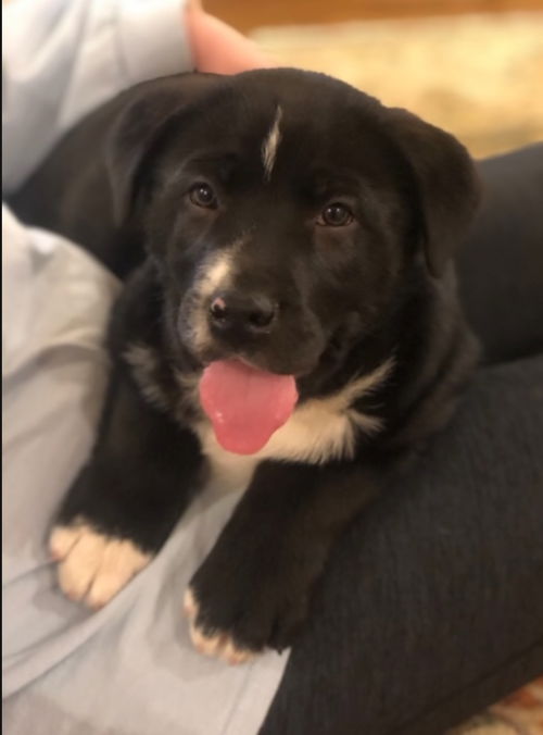Bauer