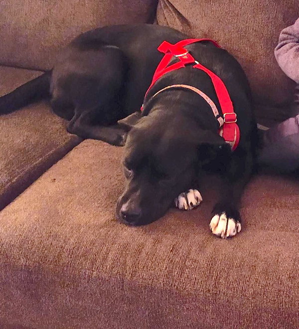 Ruby