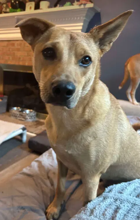 Monty image 2