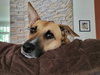 Winnie - Photo 5