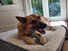Winnie - Photo 9