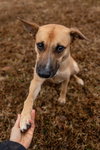 Winnie - Photo 3