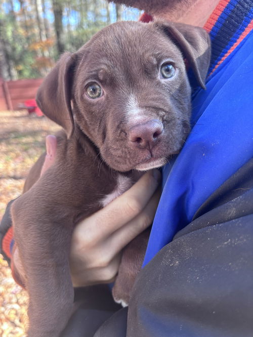 Charlie