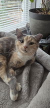 Chloe