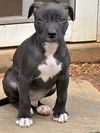 Jax