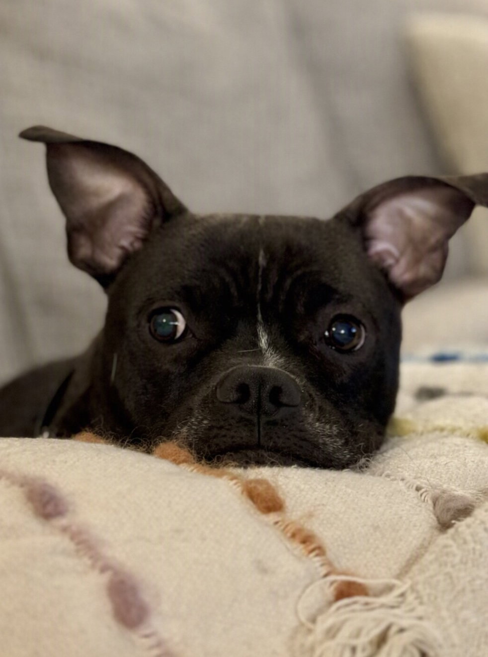 Jett