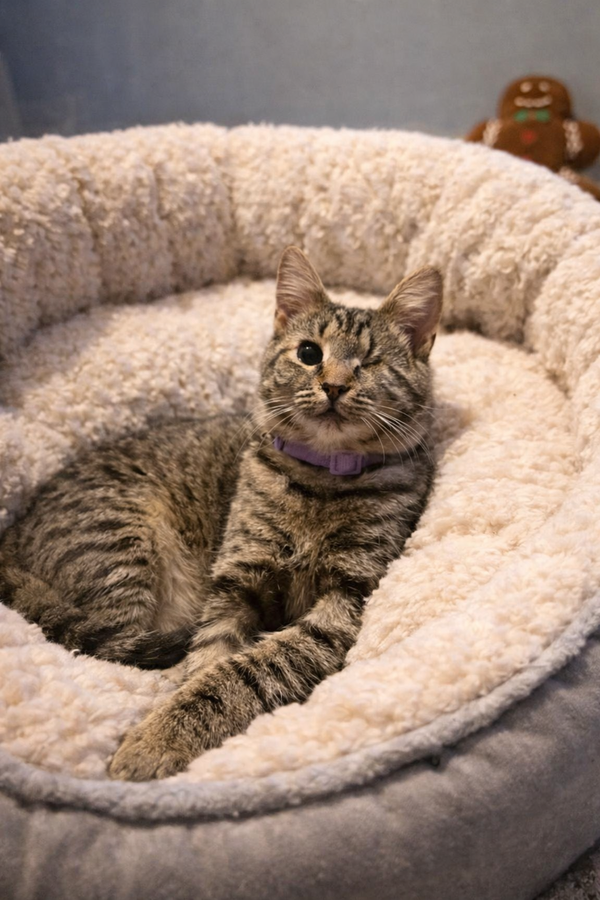 Leela