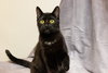 Grommet & Glitch - Photo 3