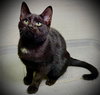 Tulio - Photo 3