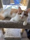 Frankie - Photo 1