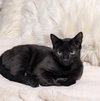 Salem - Photo 1