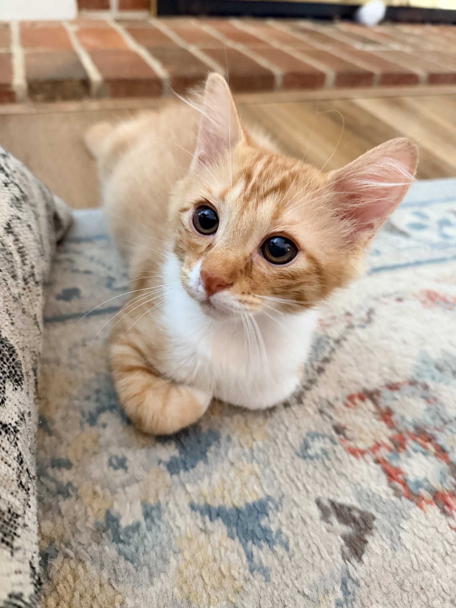 Sebastian
