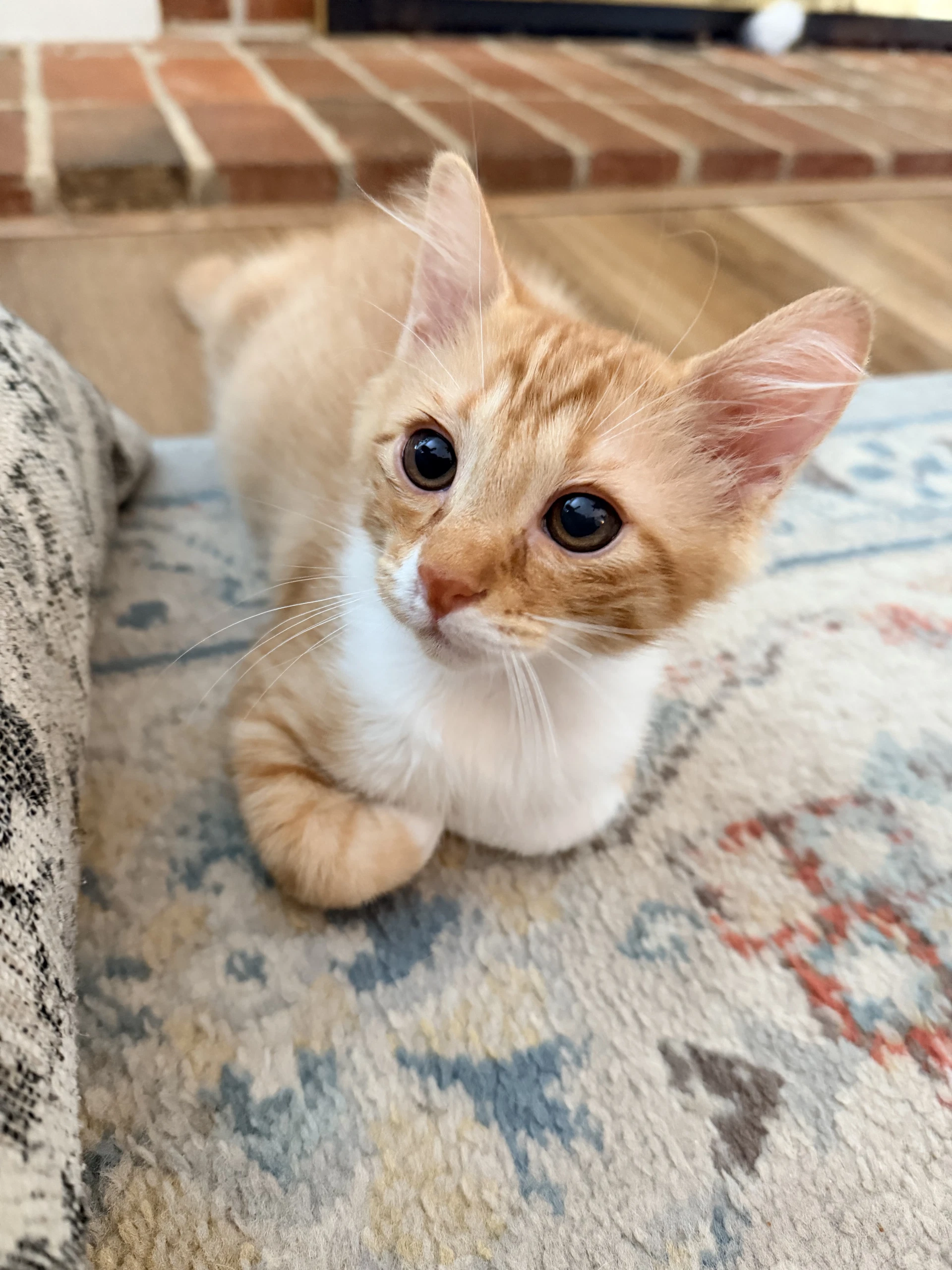 Sebastian