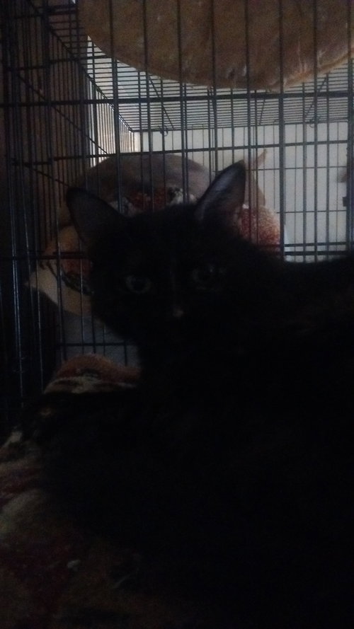 Lucy