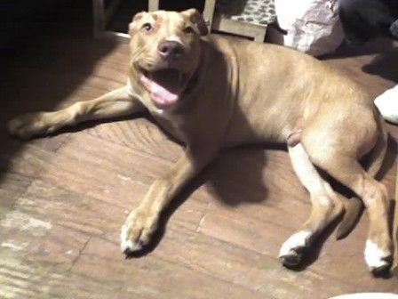 Chico