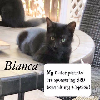 Bianca