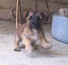 Cubby