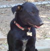 Lizzie